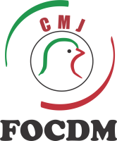 Colegio Mexicano De Jueces (CMJ-FOCDM)